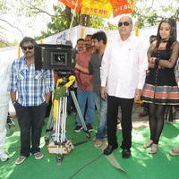 Venky and Trisha New Movie Launch Stilss